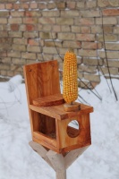     (8008)