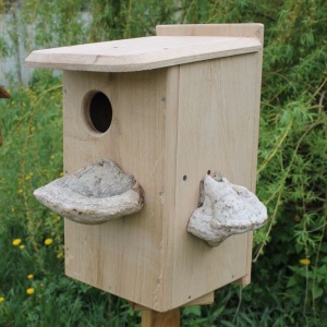 ������� ��������� (8001)