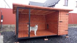 ������  ��� ����� �11