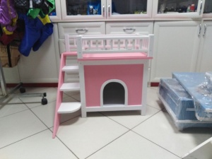 ����� ��� ����� 1010